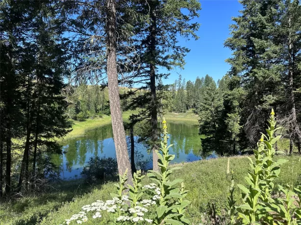 196 Belterra Lane Bigfork Unimprovedland Waterfron