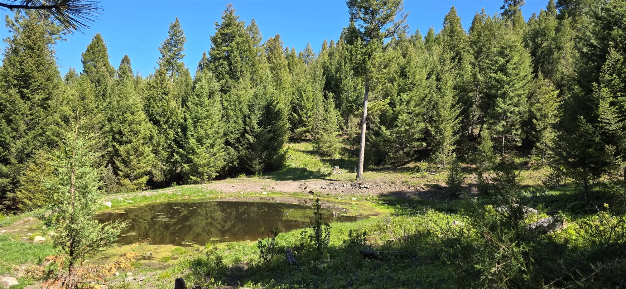 4 Tract  Bull Elk Drummond Horse Waterfront 161 Ac