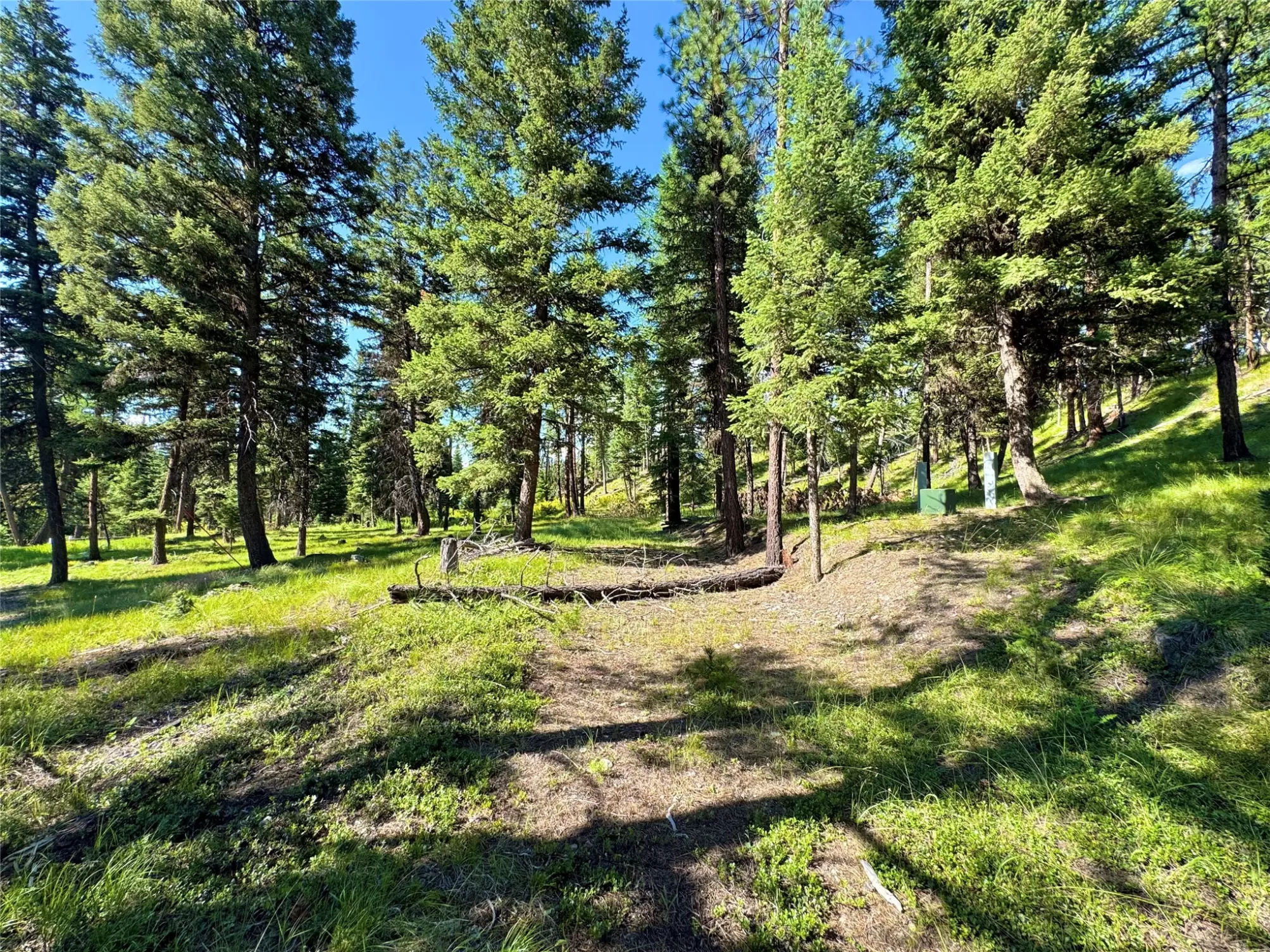 890 Montana Drive Seeley Lake Golf Ski Waterfront