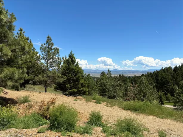 16 Mule Trail Road Clancy Waterfront 5 Acres