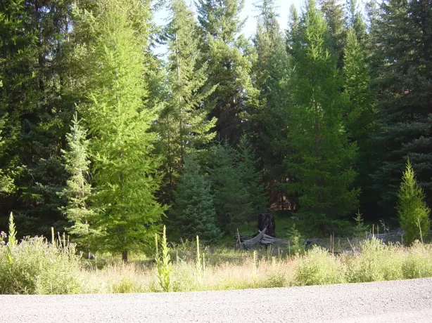 Nhn Lot 11 Davis Creek Road Libby Unimprovedland W