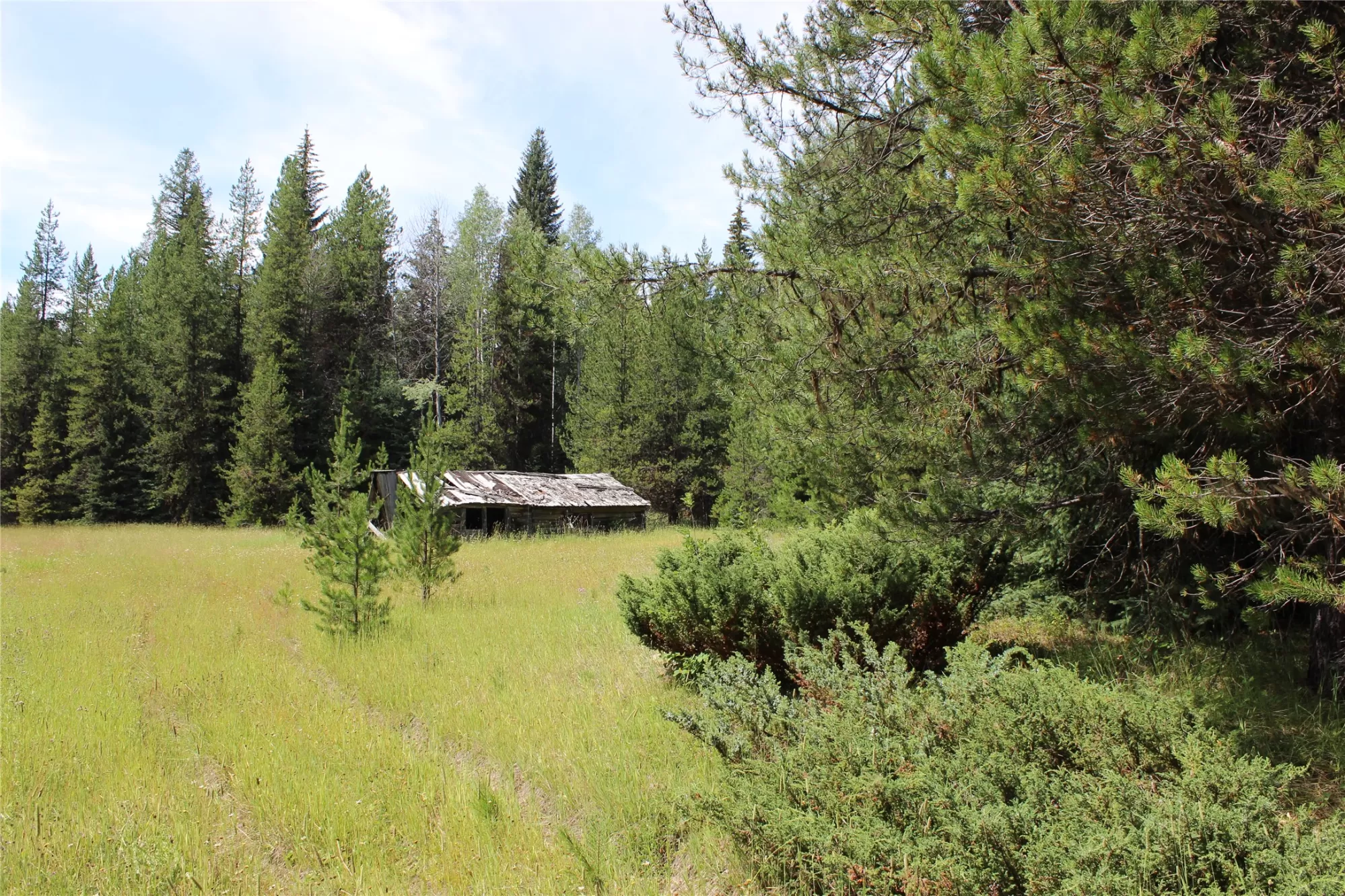 3380 Swamp Creek Road Trego Unimprovedland Waterfr