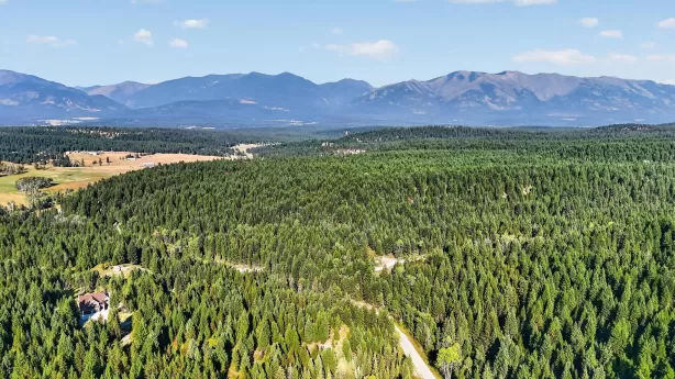 Lot 1 Forest Ridge Road Fortine Unimprovedland Wat
